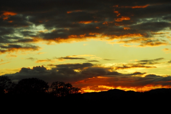 Creation of Fall Sundown : Step 1